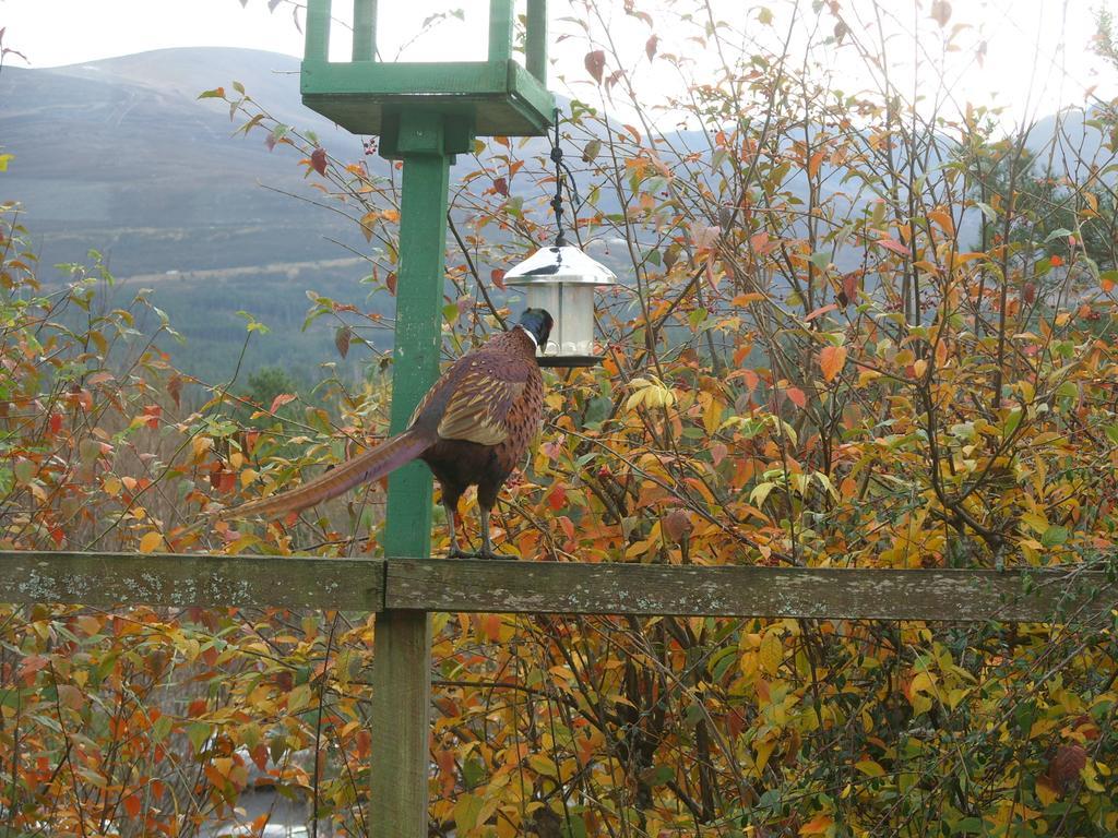 Cairngorm Lodge Youth Hostel Loch Morlich ภายนอก รูปภาพ