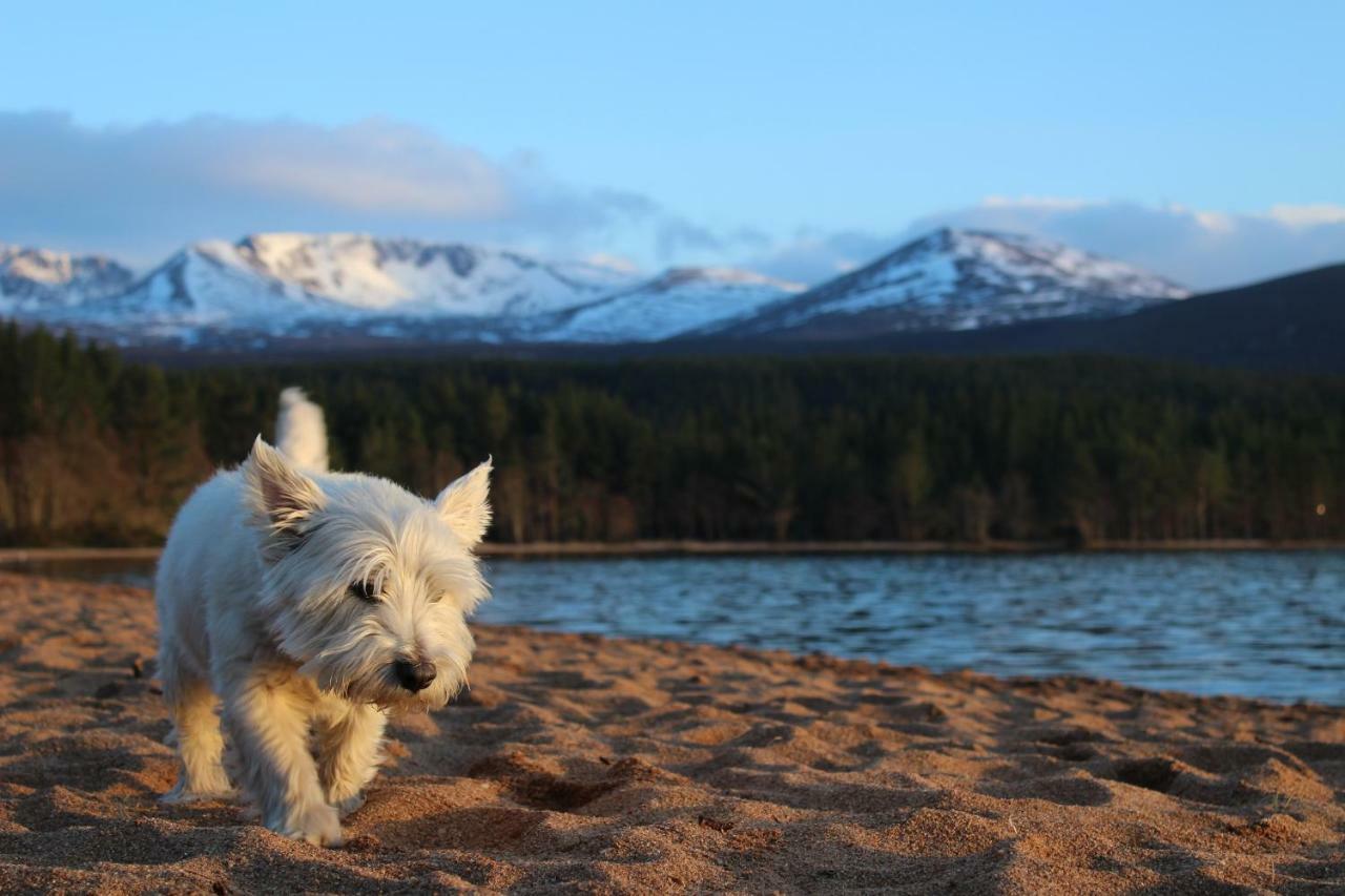 Cairngorm Lodge Youth Hostel Loch Morlich ภายนอก รูปภาพ