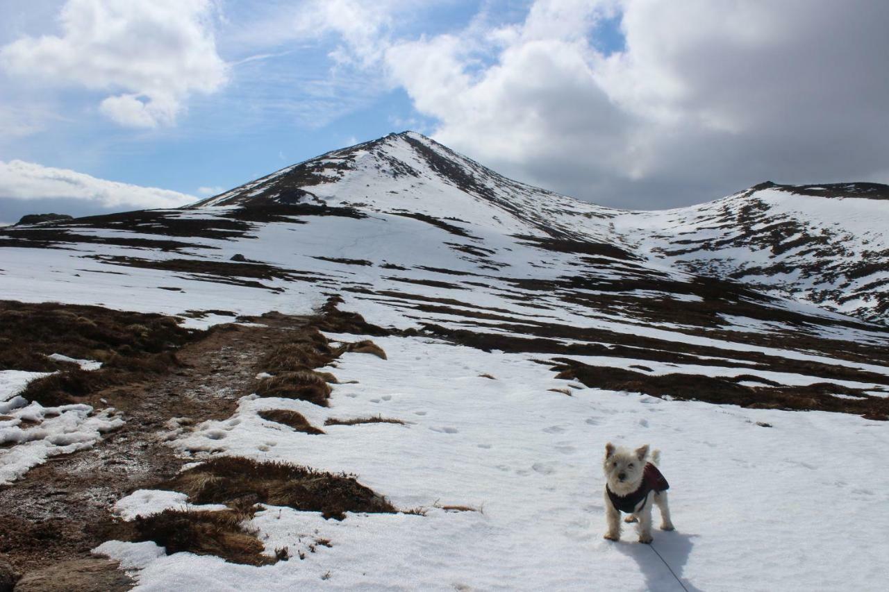Cairngorm Lodge Youth Hostel Loch Morlich ภายนอก รูปภาพ